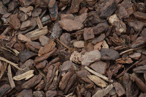 Divers paillis organiques : écorces de pin, copeaux de bois, cosses de cacao