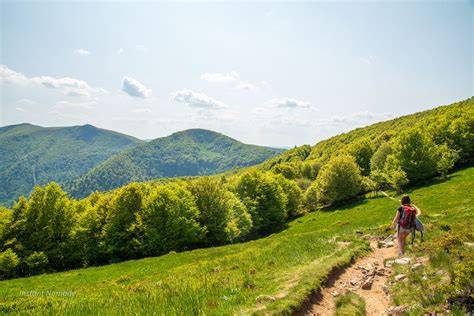 Sentier des mares au domaine du Chêne