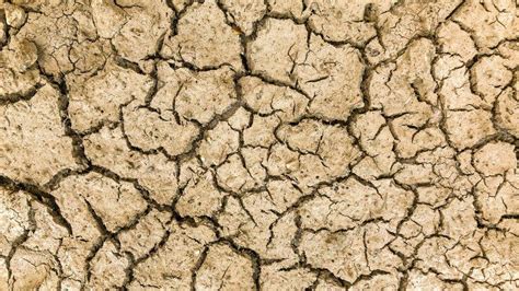Gros plan sur une terre argileuse montrant sa texture compacte