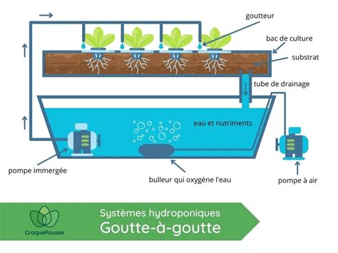 Schéma montrant l'économie d'eau avec un système goutte-à-goutte dans un carré potager