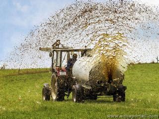 Épandage de lisier avec un camion citerne