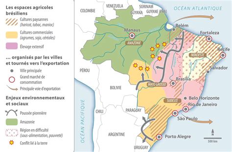 Infographie sur les principales productions agricoles brésiliennes