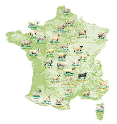 Carte des zones d'élevage ovin et de disponibilité du fumier de mouton