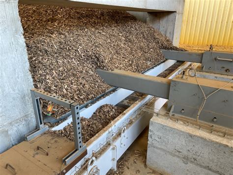 Convoyeur à copeaux de bois en action dans une scierie