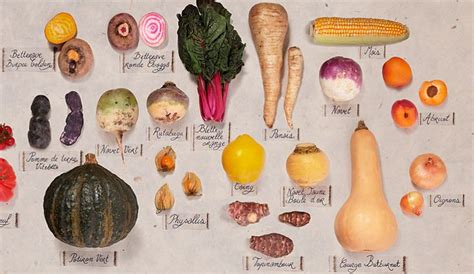 Assortiment de légumes oubliés