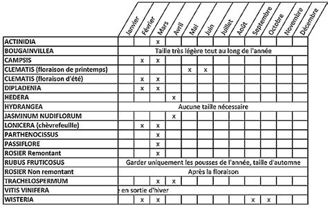 tableau taille plantes grimpantes