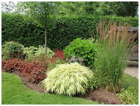 aménagement jardin mi-ombre