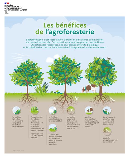 Infographie sur les bénéfices du fumier pour les cultures