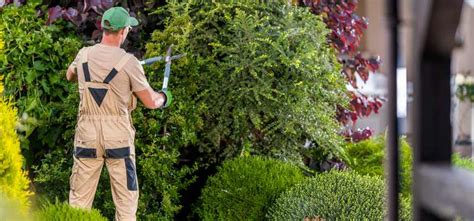 Entretien courant du jardin par le locataire