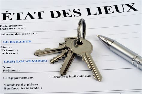 Importance de l'état des lieux pour le jardin