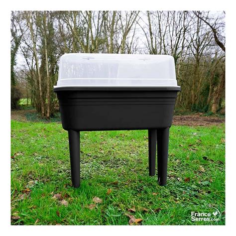 Mini-serre pour bouturage avec hygromètre