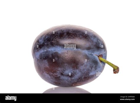 Gros plan sur une prune mûre avec sa pruine
