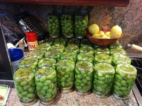 bocaux d'olives en saumure