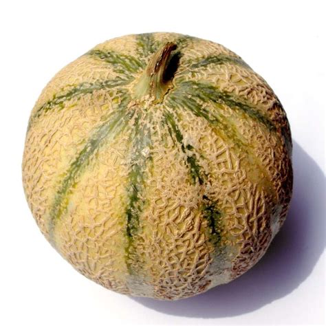 Image d'un melon mûr avec son pédoncule craquelé
