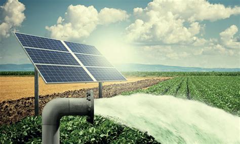 Panneaux solaires alimentant une pompe d'irrigation