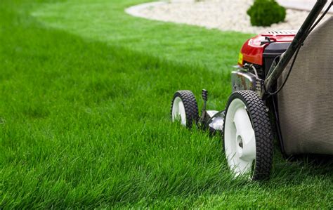 Tondeuse à gazon réglant la hauteur de coupe