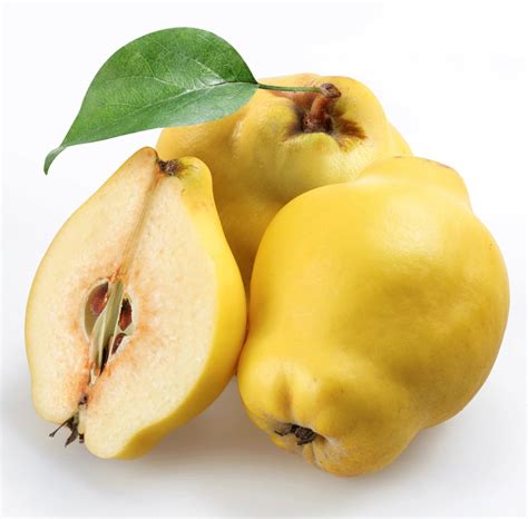 Infographie comparant la structure d'un coing, d'une pomme et d'une poire