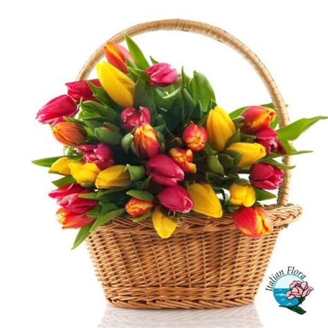 panier de bulbes de tulipes colorées prêtes à être plantées