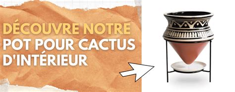 Schéma d'un pot avec un bon drainage pour cactus