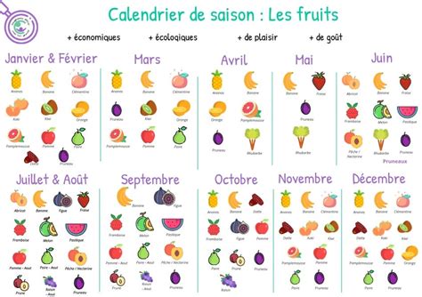 calendrier des saisons de cueillette des fruits