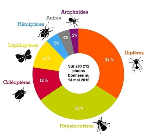Carte montrant la répartition des principaux pollinisateurs
