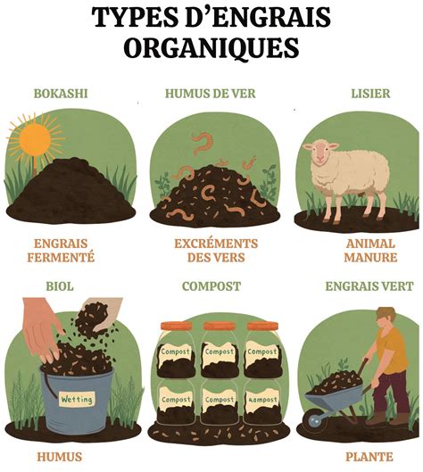 Engrais vert et ses bienfaits