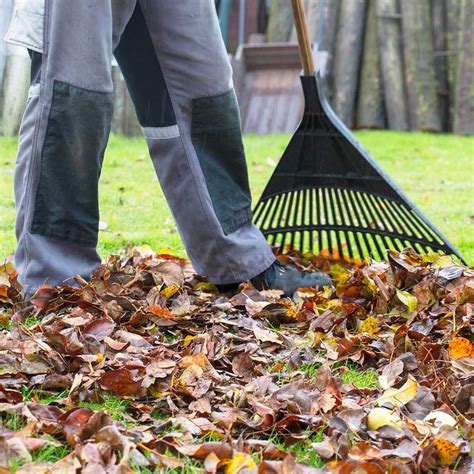 Outils de jardinage pour le ramassage des feuilles