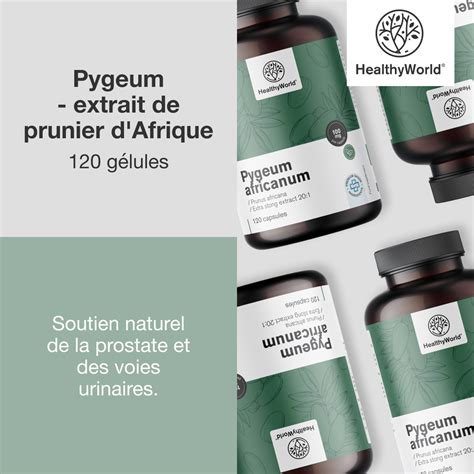 Infographie montrant les différentes formes de produits à base de Prunier d'Afrique (gélules, poudre, teinture mère)