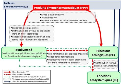 Schéma de la procédure d'évaluation des produits phytopharmaceutiques dans l'UE