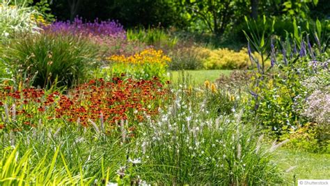 Jardin potager diversifié et riche en biodiversité