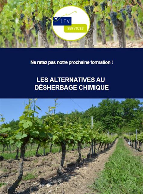 infographie sur les alternatives naturelles au désherbage