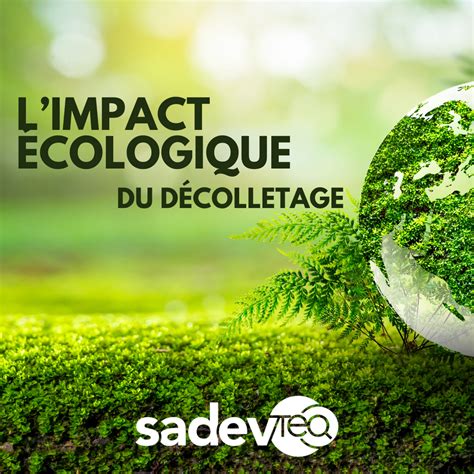 Infographie comparant l'absorption et l'impact écologique du bois, de l'argile et de la silice