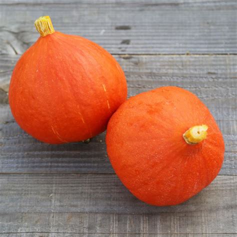 Courge potimarron prête à la récolte