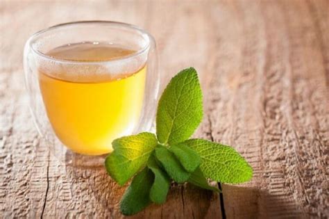 Feuilles de sauge et infusion