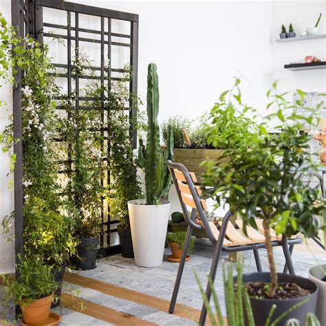 Un jardin moderne décoré avec un treillis extensible recouvert de lierre artificiel fixés sur une pergola en bois