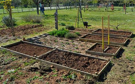 Schéma des différentes dimensions de carrés potagers en noisetier