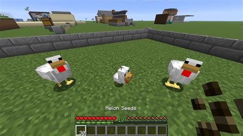 Ferme d'élevage de vaches et de moutons dans Minecraft