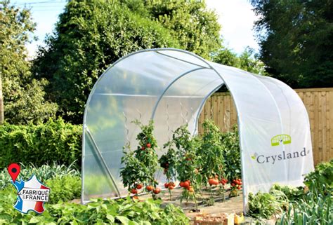 Serre tunnel ou protection artisanale pour tomates en pleine saison