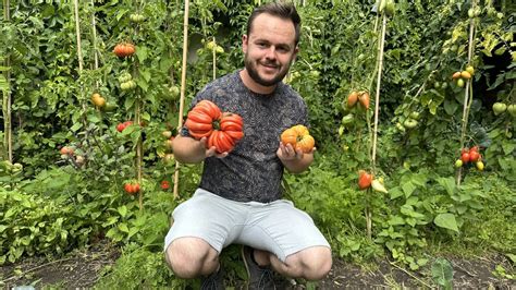 Un jardinier souriant tenant son outil préféré au milieu de ses plants de tomates