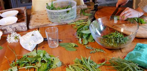 Techniques de préparation des plantes sauvages en cuisine