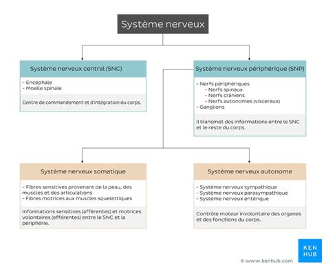 Schéma comparatif entre le système FAR classique et le système Conviso One
