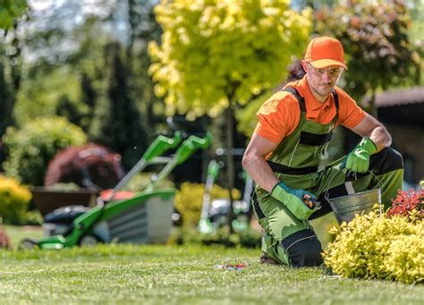 Illustration d'un professionnel des espaces verts travaillant dans un parc public