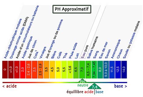 Photo montrant un test de pH au vinaigre sur un échantillon de terre pour vérifier la présence de calcaire.