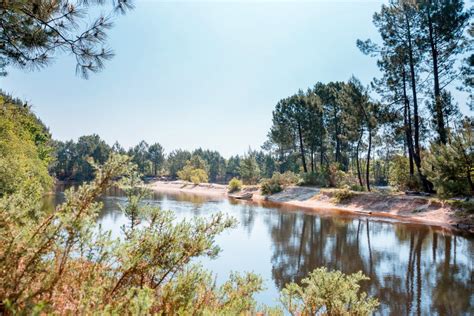 Paysage de landes à myrtilles dans les Hautes-Vosges