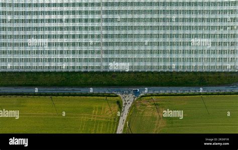 Vue aérienne des serres horticoles de Mézières-lez-Cléry