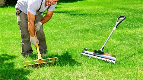 jardinier utilisant un scarificateur sur une pelouse