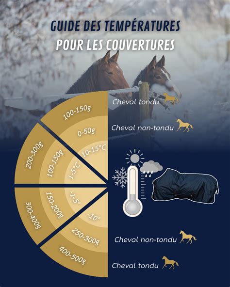 Schéma illustrant la différence de séchage entre un cheval tondu et non tondu après l'effort