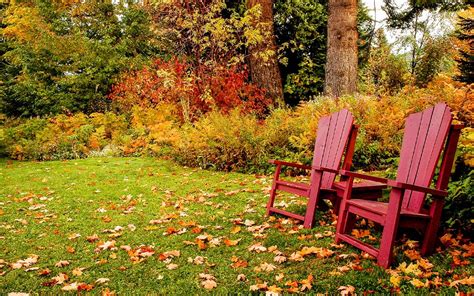 jardin en automne