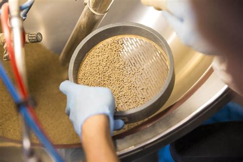 Schéma illustrant le processus d'enrobage des semences avec des pigments