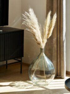 Plumeaux de pampa séchés dans un vase